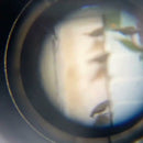 HD 40x60 Cellphone Telescope